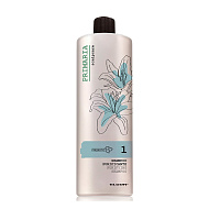 Elgon PRIMARIA Очищающий шампунь с цинком против перхоти PURIFYING SHAMPOO