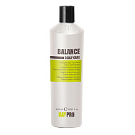 KayPro Scalp Care Balance Шампунь Себум-контроль для  жирной кожи головы и волос