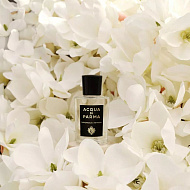 Acqua Di Parma Magnolia Infinita