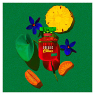 Benetton United Dreams Citrus