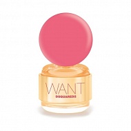 Dsquared2  Want Pink Ginger