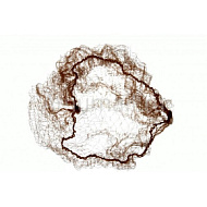 Profi Line Сеточка-паутинка maxi коричневая 2 шт